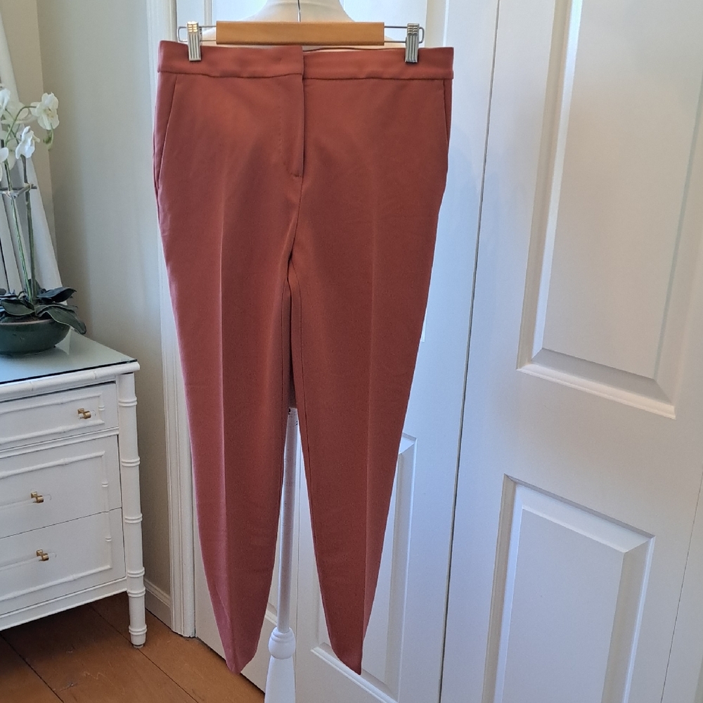 NWOT MaxMara Womens Salmon Stretch Dress‎ Ankle Trouser Pants Zip/Hooks S-10